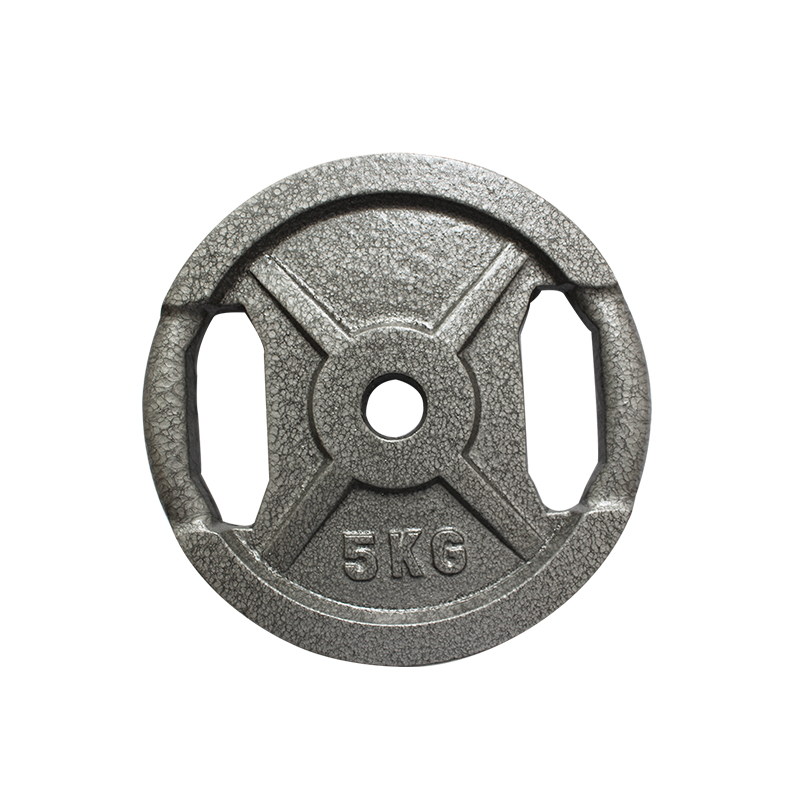 Cast Iron Weight Plate with Handle Cut