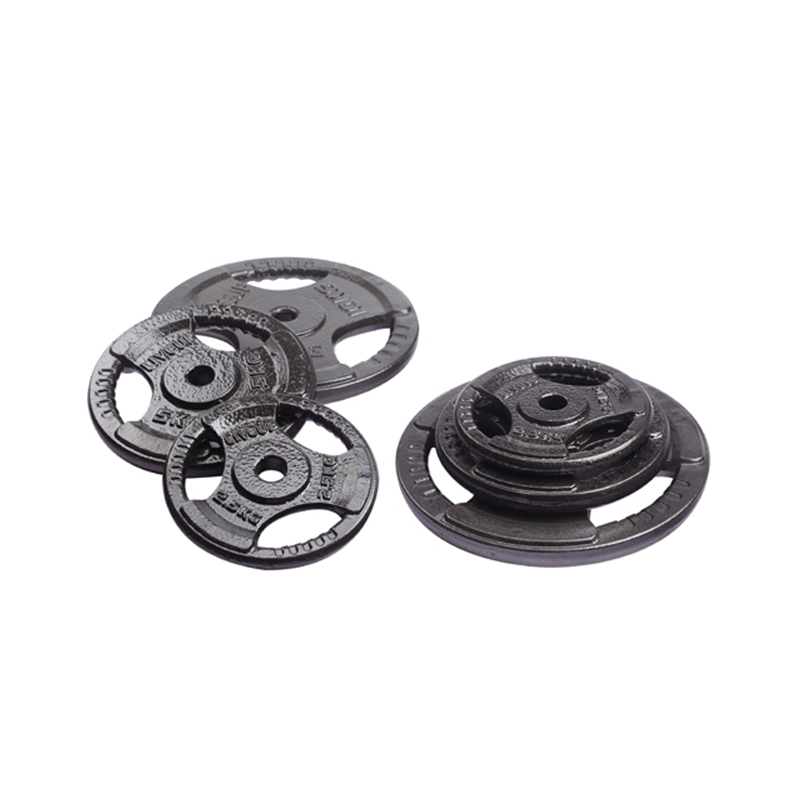 Cast Iron Weight Plate with Handle Cut