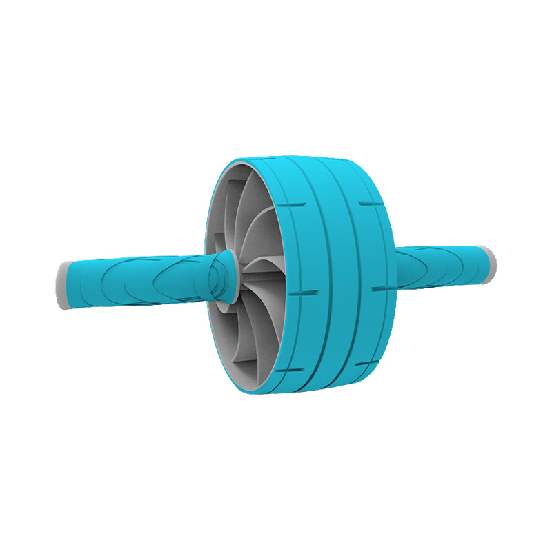 WS5001Z Exercise Wheel