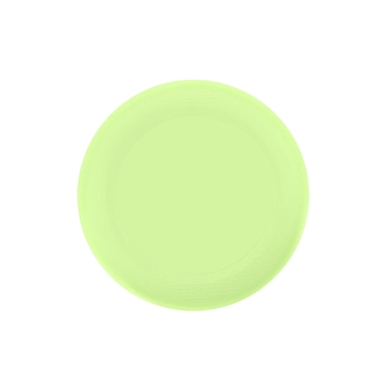 WS2033 Glowing Sports Discs