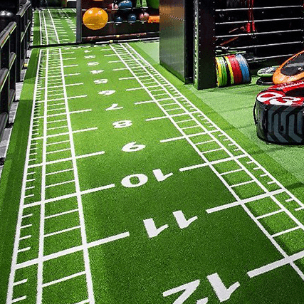 WS2321 Runway Artificial Grass