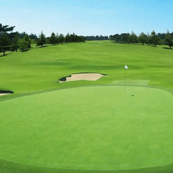 WS2324 Golf Course Turf
