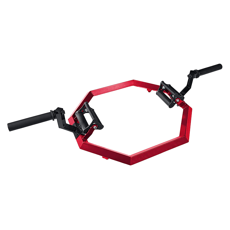 WS4619 Training Bar
