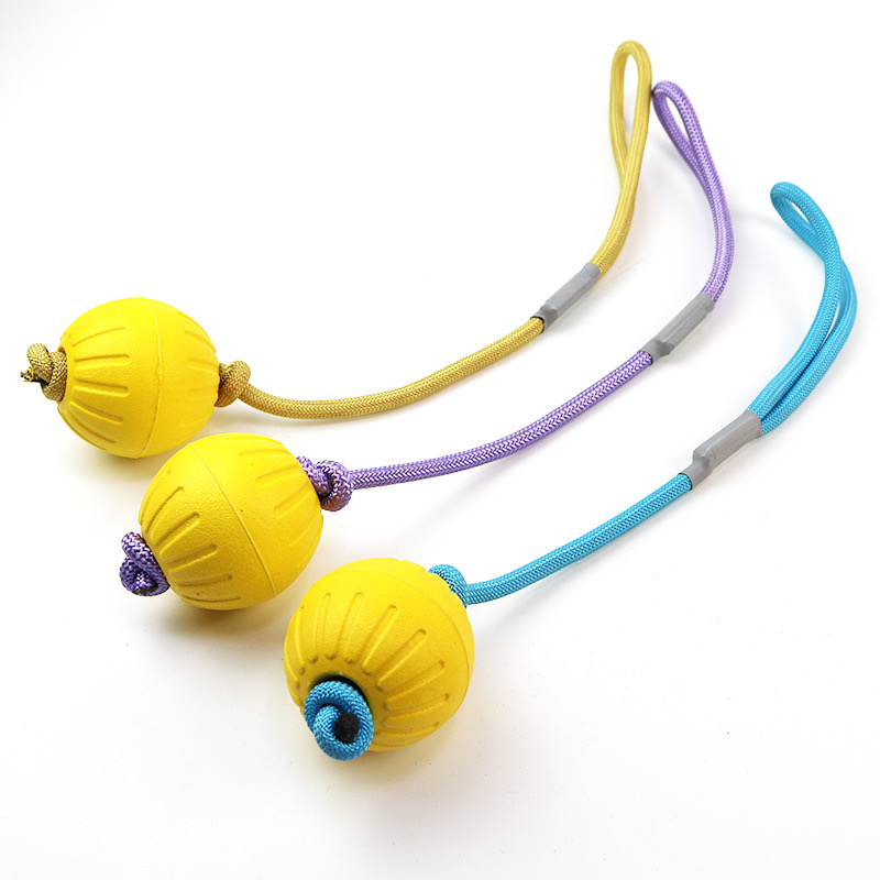 WS2201 Dog Rope Toy